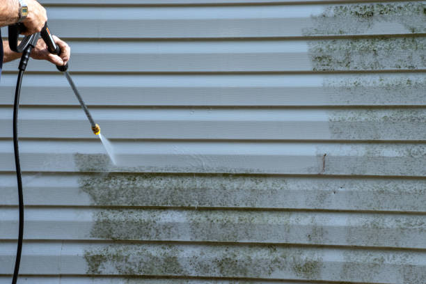 Best Carpet Removal and Disposal  in Clarcona, FL