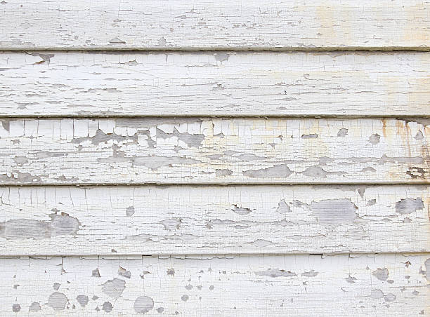 Best Hoarding Cleanup  in Clarcona, FL